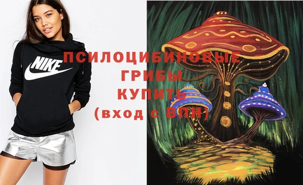 крисы Алексин