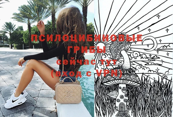крисы Алексин