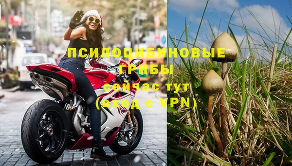 молекула духа Алзамай